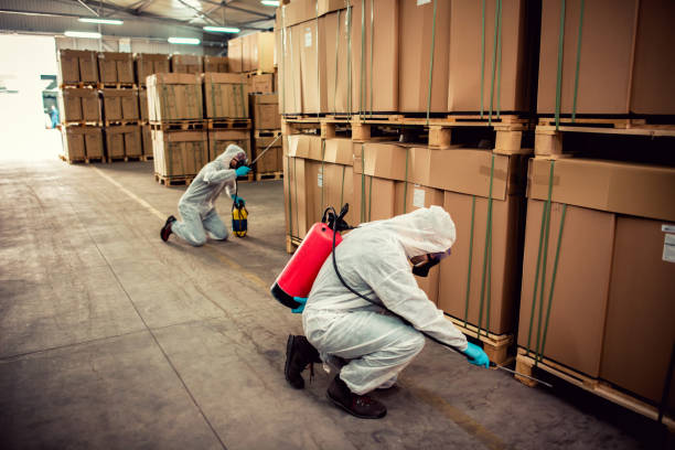 Best Pest Removal Services  in Franklin, GA