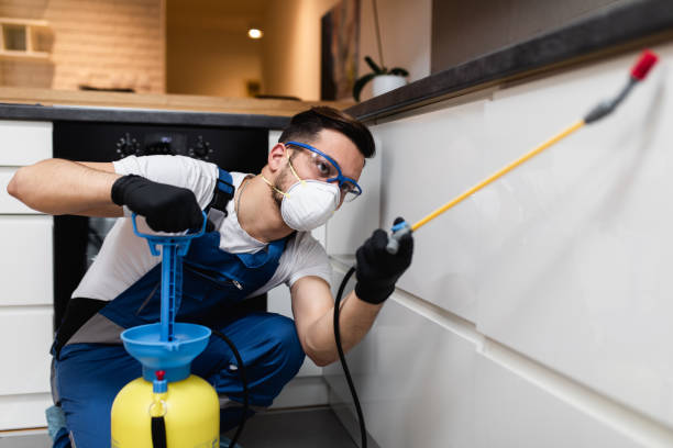 Pest Prevention Services in Franklin, GA
