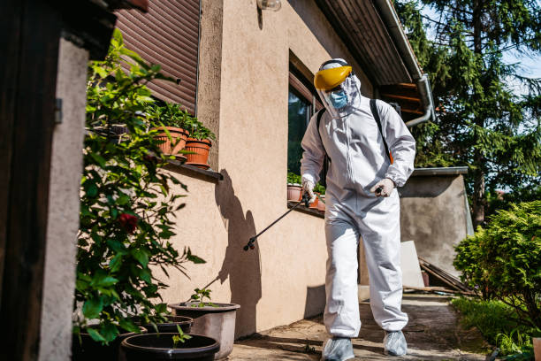 Best Emergency Pest Control  in Franklin, GA