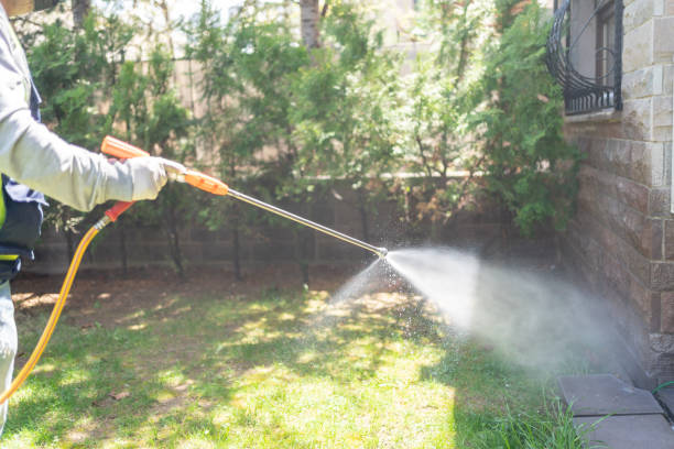 Best Insect Control  in Franklin, GA