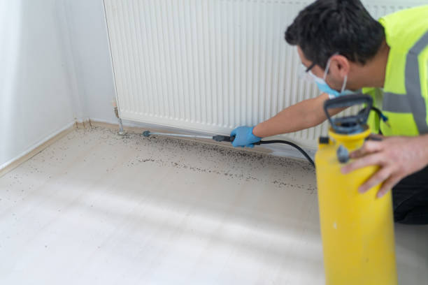 Best Affordable Pest Control Services  in Franklin, GA