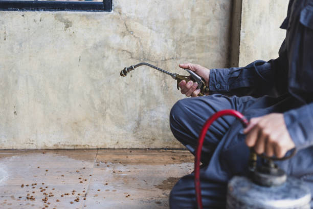 Best Residential Pest Control  in Franklin, GA